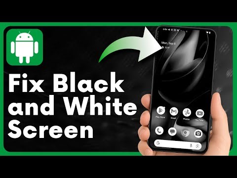 How To Fix Black and White Screen On Android