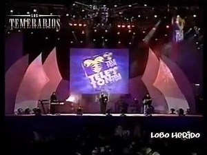 Teleton 1999 | Temefans mundial