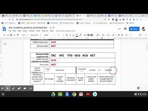 Instructions DNA Mutations Practice Worksheet
