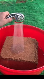 4.5K views · 12 reactions | Ues A Coco coir for better Plant and Seed improvement #gardening #gardeningtips #plantcare #plantingseeds #plant #garden #GardenTools | Gardening & Landscape Ideas | Facebook