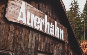 Hôtel bien-être 4* à Baiersbronn dans la Forêt-Noire, Forsthaus Auerhahn