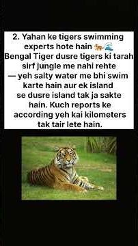 Day 135 | 365 Days Challenge 🔥🔥 | 😱 😱 Facts about Sunderban Delta |#shorts#viralvideo