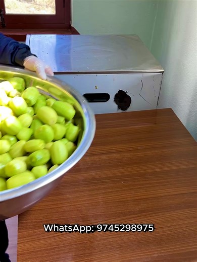 Order Organic Dried Kiwi Online for Worldwide Shipping