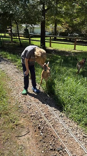 14 reactions | Greg J. Gardner on Reels | Facebook