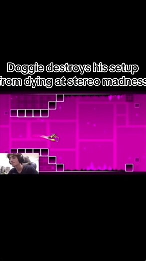 Doggie #doggie #stereomadness #geometrydash #gd #fyp