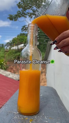 A Parasite cleanse safe for everyone! To be clear I have seen some pretty horrific examples of what NOT to do to detox parasites from your body so here is how to remove them SAFELY and naturally. Yes this is safe for everyone even pregnant women. You should never use unripe or over ripe papaya in your juice regardless if you are pregnant or not because it tastes absolutely disgusting and does not contain the benefits you’re looking for. Also, when papaya seeds are pressed through a juicer they b