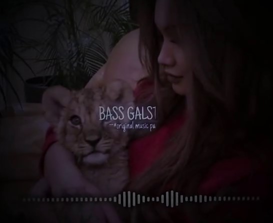 Slowed Reverb Bass Music for Summer Vibes