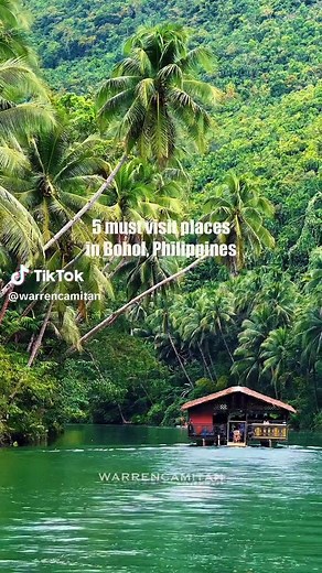 Must-Visit Aesthetic Spots in Bohol, Philippines