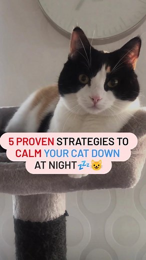 4.3K views · 190 reactions | Discover 5 Proven Strategies to Calm...