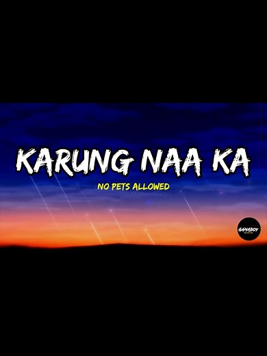 Karung Naa Ka - No Pets Allowed (Lyrics)