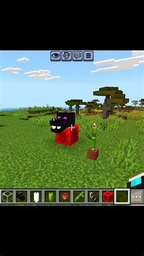 Easy Dragon Head Setup Hack in Minecraft! 🐉✨ #shorts #minecraft #gaming
