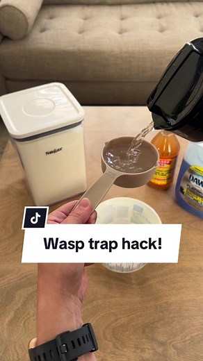 🐝VIRAL WASP HACK ✨SAVE THIS FOR LATER! 🐝 After trying many different “wasp trap hacks”, I found one that ACTUALLY works! Here it is! Recipe (for a Margarine Container) 1/2 cup water 1/2 cup sugar 1/2 cup apple cider vinegar 4-5 drops of dish soap * double recipe if using an Ice Cream pail! #Hack #wasptrap #hacksthatwork #homehacks