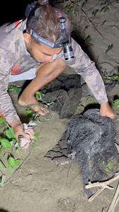 1.4M views · 4.3K reactions | Frog in a riverside | Ran Olivares | Facebook