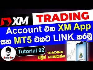 How to Link your XM Trading Account XM app and MT5/MT4 app Tutorial 02 | Meta Trader 5 Link XM