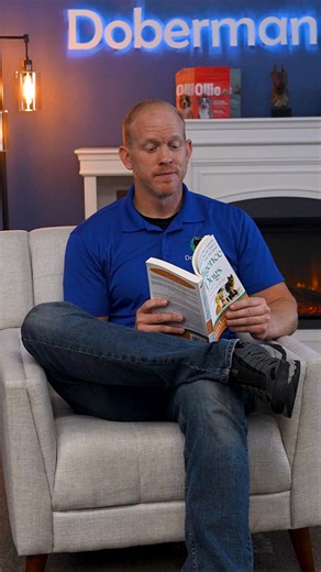 Dobermans master new skills almost instantly 🧠 #DobermanTraining #SmartDogBreeds #CanineIntelligence #DogObedienceTips #QuickLearningDogs #DobermanPlanet #DogTrainingSuccess | Doberman Planet