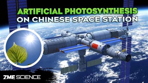 Artificial Photosynthesis in Space: China's Big Leap!