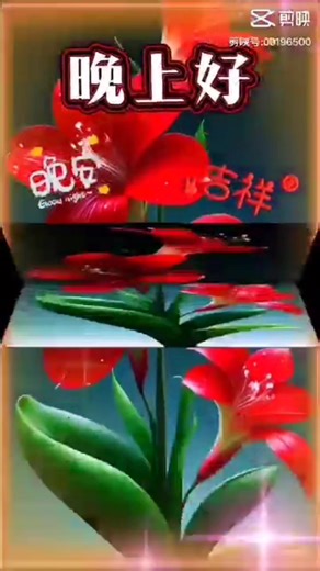 10K views · 226 reactions | David Lim on Reels | Facebook