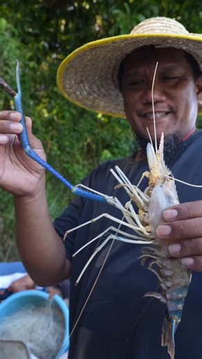 MONSTER RIVER PRAWNS 🦐 Catch and Cook in Borneo! | Chopstick Travel