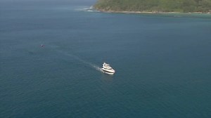 29K views · 392 reactions | Busy Signal - Perfect Spot | KotZot.com | Facebook