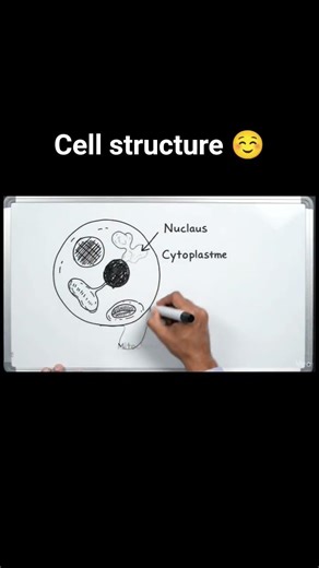Cell basics explained simply ✍️#Cell #NEET #Biology