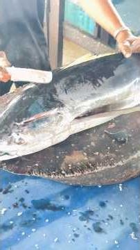 Satisfying Tuna Slicing 🐟✨#Shorts #TunaSlice #Tuna #Food #Slicing