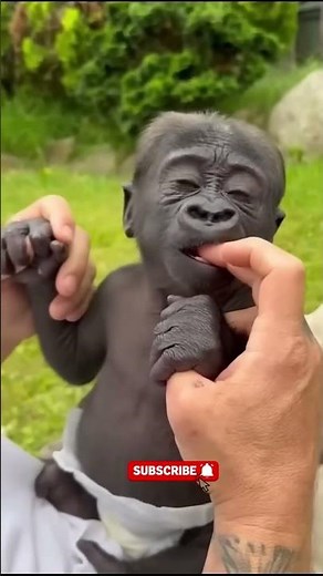 Before & After Animals Growing Up: Wild Evolution! #24 #animals #evolution #naturelovers