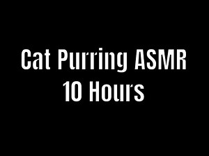 Cat Purring Healing High-Fidelity Sound 10 Hours Black Screen | Cat Purring Sound | Cat Purring ASMR