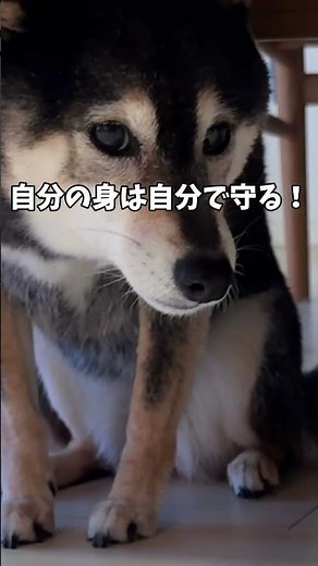 What Kuroshiba is afraid of.