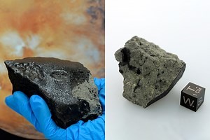 Mars Meteorite Tissint That Crashed Into Morocco 11-Years Ago Contains a Diversity of Organic Compounds