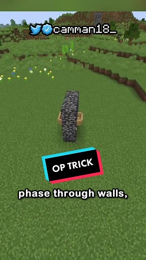 Reply to @camman.18 don’t tell the minecraft servers about that last part… #camman18 #minecraftbut #minecraft #minecraftmemes #gaming #dreamsmp #mcpe