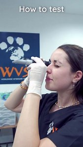 WVS Academy: How to measure urine specific gravity 🎓 The WVS Academy is an online platform that provides vets across the world – from Asia to Africa, and everywhere in between – with access to high-quality, engaging, relevant, and peer-reviewed resources to guide best clinical practice in any setting. In many countries, access to expert resources and professional learning opportunities is extremely limited. That's why we've created a community for vets from all countries, cultures, and educatio