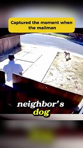 Captured the moment when the mailman #camera #stories #dailynews #usa #us #police #truestory #storytime #story #usa #fyp #foryou #foryoupage | Platform Pods