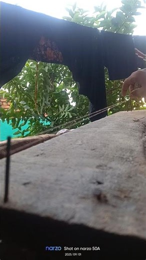 satisfied mini ball video