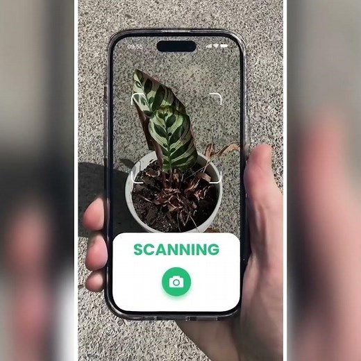 Plant Scanner & Care — Identify, Diagnose, and Nurture Every Plant with AI