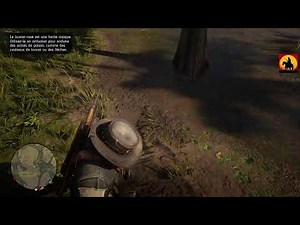 Read Dead Redemption 2 Défis herboriste rang 9