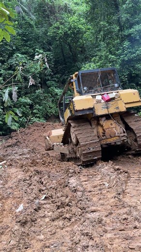 D6R XL Bulldozer and Old Plantation Road Repair