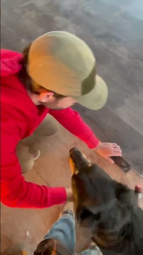 How to install Lifeproof flooring