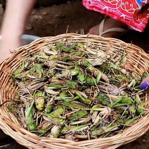 18K views · 146 reactions | Cooking Grasshopper Recipe ! | CookPro | Facebook