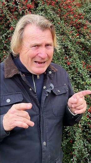 Why You NEED These Berry Plants in Your Garden!