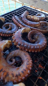 20K views · 261 reactions | Grilled Octopus  | AniMalupet | Facebook