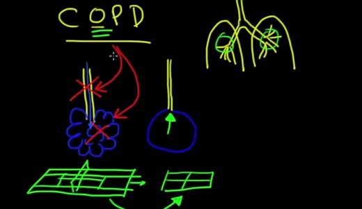 A1A Blood Test Results Explained - HRF