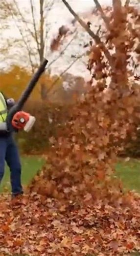 He Has No Idea What Just Happened #funny #fail #shorts