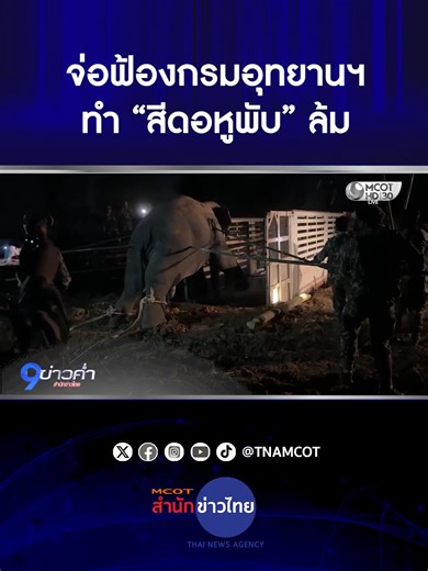 การเคลื่อนย้ายช้างป่าครั้งแรกในขอนแก่น