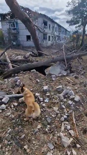 Добрий день,в п'ятницю на ніч будемо їхати до наших на фронт.Звернувся до нас Макс Назарук,вони на Куп'янському напямку (14 боигада).Треба сало,окопні свічки,газові балончики,термобілизна,шапки, автономний обігрівач дизельний.Часу лишилося небагато,тому просьба до всіх,хто це читає,чимось допомогти. Також минулого разу ми завозили овочі на госпіталь(назбирали в Куклинській громаді),то там просили для поранених футболки,кофти, штани спортивні,тапки,можна вживане,але випране.Також потрібна солярка