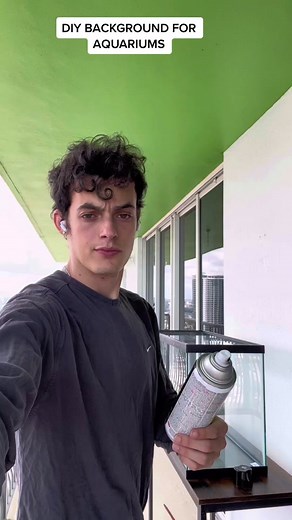 DIY Background for Aquariums: Spray Painting Tips and Tricks