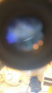 Organisation de la formation facette sous microscope | Cabinet Dr kara mostefa