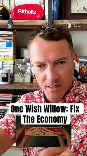 One Wish Willow: Fix The Economy