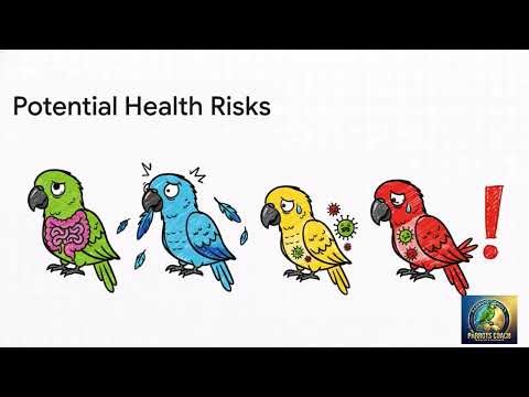 Parrot Poop PROBLEM? Toilet Train in 7 Days + Diaper Hacks! 🦜💩🚽✨ | Parrots Coach