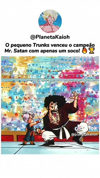 Mister Satã em Dragon Ball Z: Episódio 213
