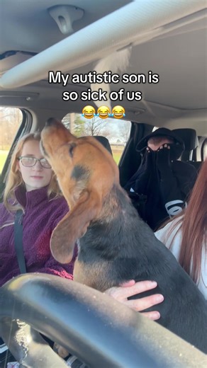 He’s just trying to block it all out 💀💀💀 #fyp #pawsitivespectrum #dog #autism #family